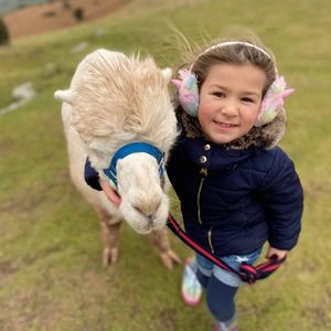 Meet your Posher, Shk